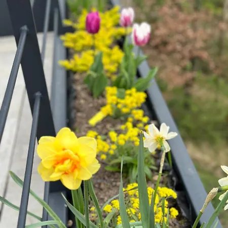 Point De Vue Caleste