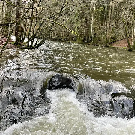 Point De Vue Caleste Σπίτι διακοπών Wellin