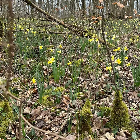 Point De Vue Caleste * Wellin